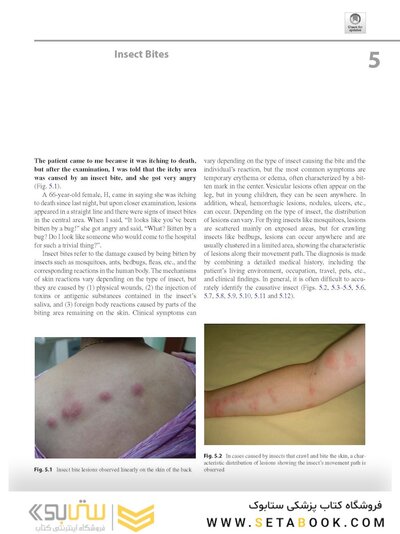 Dermatology Diaries: An Illustrated Guide to Common Skin Diseases