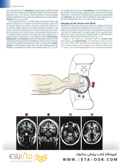 Fundamental Neuroscience for Basic and Clinical Applications 6th Edition