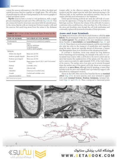 Fundamental Neuroscience for Basic and Clinical Applications 6th Edition