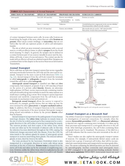 Fundamental Neuroscience for Basic and Clinical Applications 6th Edition