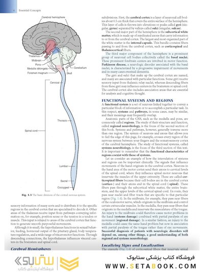 Fundamental Neuroscience for Basic and Clinical Applications 6th Edition