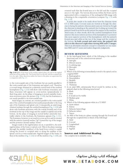 Fundamental Neuroscience for Basic and Clinical Applications 6th Edition