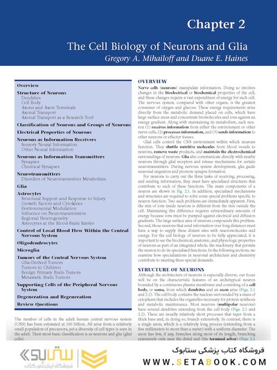 Fundamental Neuroscience for Basic and Clinical Applications 6th Edition