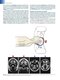 Fundamental Neuroscience for Basic and Clinical Applications 6th Edition
