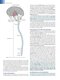 Fundamental Neuroscience for Basic and Clinical Applications 6th Edition