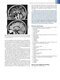 Fundamental Neuroscience for Basic and Clinical Applications 6th Edition