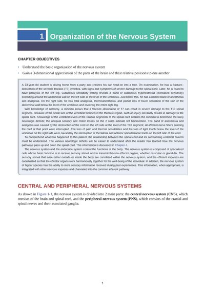 Snell's Clinical Neuroanatomy Ninth Edition