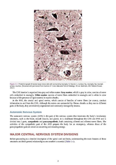 Snell's Clinical Neuroanatomy Ninth Edition