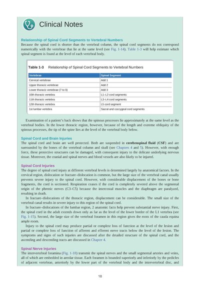 Snell's Clinical Neuroanatomy Ninth Edition