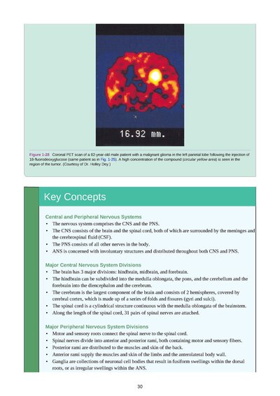 Snell's Clinical Neuroanatomy Ninth Edition