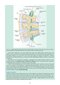Snell's Clinical Neuroanatomy Ninth Edition
