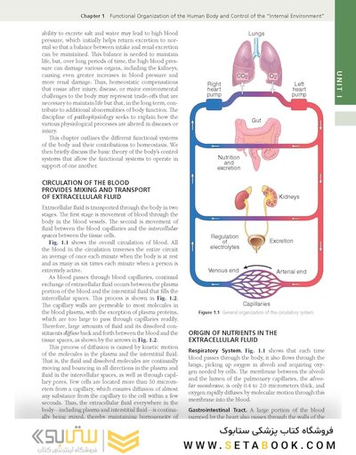 Guyton and Hall Textbook of Medical Physiology (Guyton Physiology) 15th Edition