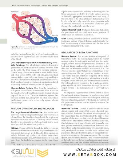 Guyton and Hall Textbook of Medical Physiology (Guyton Physiology) 15th Edition