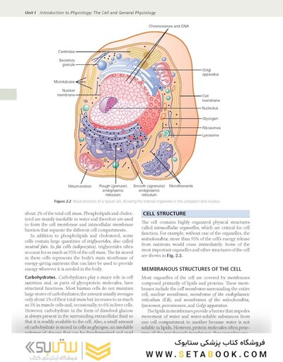 Guyton and Hall Textbook of Medical Physiology (Guyton Physiology) 15th Edition