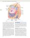 Guyton and Hall Textbook of Medical Physiology (Guyton Physiology) 15th Edition