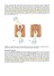 Beckmann and Ling's Obstetrics and Gynecology 9th Edition