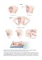 Beckmann and Ling's Obstetrics and Gynecology 9th Edition