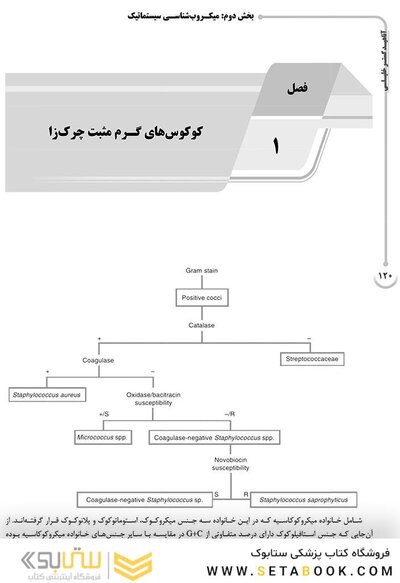 AGK درسنامه باکتری شناسی ( ویژه کارشناسی ارشد رشته های ایمنی شناسی، بیوتکنولوژی پزشکی، ویروس شناسی، قارچ شناسی و انگل شناسی وزارت بهداشت)