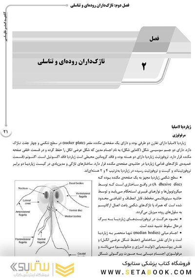 AGK درسنامه انگل شناسی، تک یاخته شناسی و کرم شناسی (ویژه کارشناسی ارشد رشته های باکتری شناسی، قارچ شناسی و میکروب شناسی موادغذایی وزارت بهداشت)