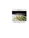 Histology and Cell Biology: An Introduction to Pathology 6th Edition