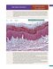 Histology and Cell Biology: An Introduction to Pathology 6th Edition