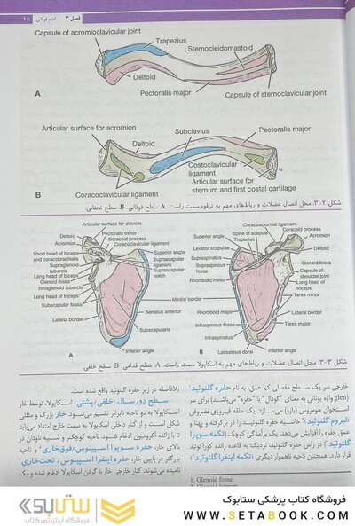 آناتومی بالینی اسنل اندام 2025 جلد دوم