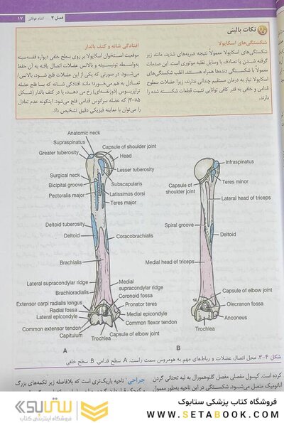 آناتومی بالینی اسنل اندام 2025 جلد دوم