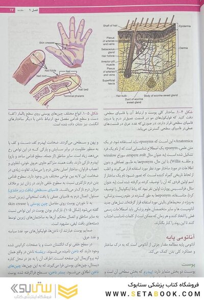 آناتومی بالینی اسنل تنه 2025 جلد اول - ویرایش یازدهم