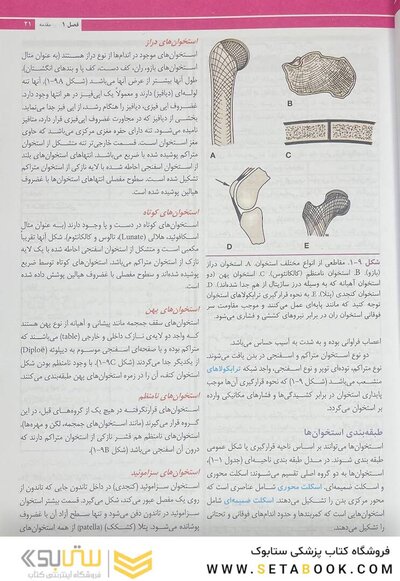 آناتومی بالینی اسنل تنه 2025 جلد اول - ویرایش یازدهم
