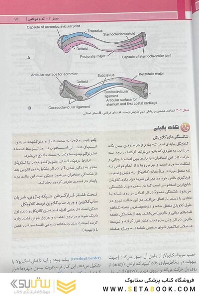 آناتومی بالینی اسنل اندام 2025 جلد دوم