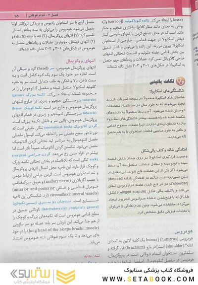 آناتومی بالینی اسنل اندام 2025 جلد دوم