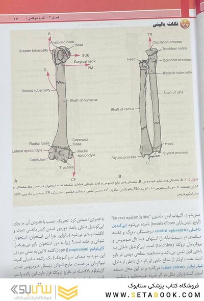 آناتومی بالینی اسنل اندام 2025 جلد دوم