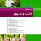 بیماریهای قلب و عروق نلسون 2025