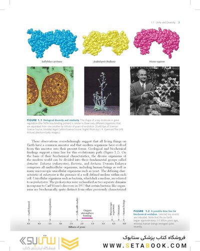 Biochemistry Stryer 9th Edition