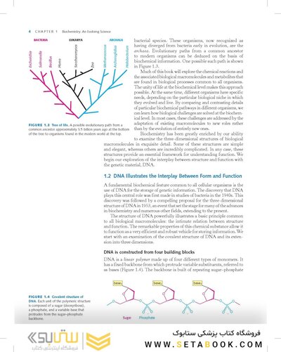 Biochemistry Stryer 9th Edition