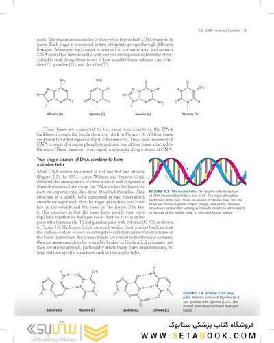 Biochemistry Stryer 9th Edition