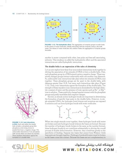 Biochemistry Stryer 9th Edition