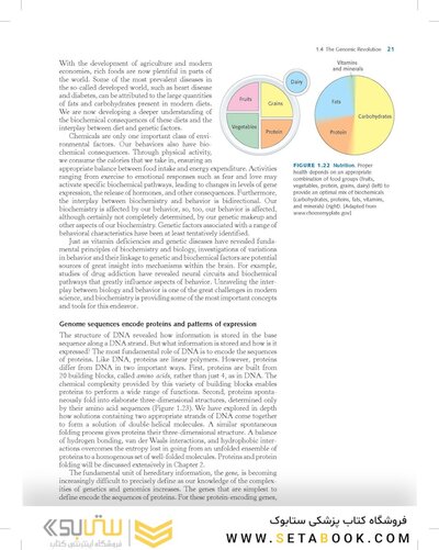 Biochemistry Stryer 9th Edition