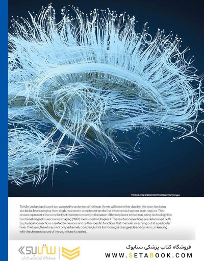 Cognitive Psychology: Connecting Mind, Research, and Everyday Experience 6th Edition
