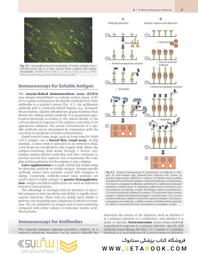 Medical Microbiology 10th Edition