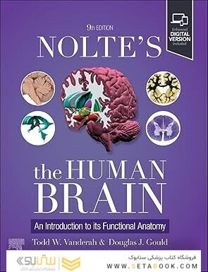 Nolte's The Human Brain: An Introduction to its Functional Anatomy 9th Edition
