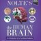 Nolte's The Human Brain: An Introduction to its Functional Anatomy 9th Edition