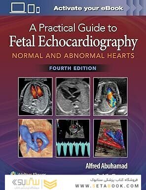 A Practical Guide to Fetal Echocardiography: Normal and Abnormal Hearts Fourth Edition