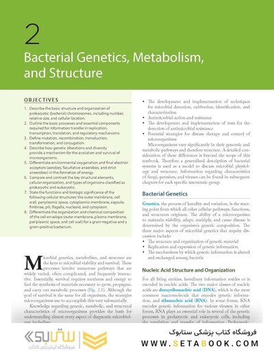 BAILEY AND SCOTTS DIAGNOSTIC MICROBIOLOGY WITH ACCESS CODE 16ED