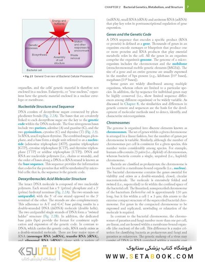 BAILEY AND SCOTTS DIAGNOSTIC MICROBIOLOGY WITH ACCESS CODE 16ED