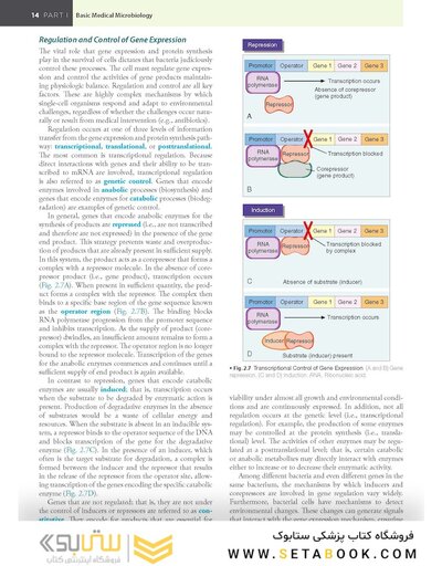 BAILEY AND SCOTTS DIAGNOSTIC MICROBIOLOGY WITH ACCESS CODE 16ED