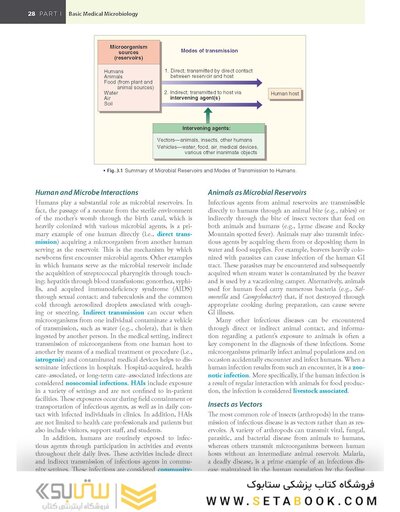 BAILEY AND SCOTTS DIAGNOSTIC MICROBIOLOGY WITH ACCESS CODE 16ED