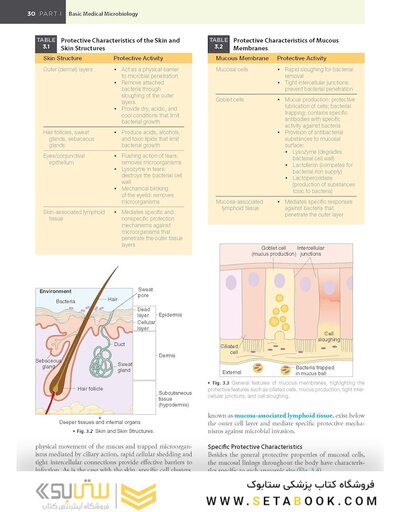 BAILEY AND SCOTTS DIAGNOSTIC MICROBIOLOGY WITH ACCESS CODE 16ED