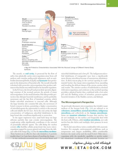 BAILEY AND SCOTTS DIAGNOSTIC MICROBIOLOGY WITH ACCESS CODE 16ED