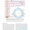 BAILEY AND SCOTTS DIAGNOSTIC MICROBIOLOGY WITH ACCESS CODE 16ED